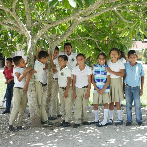 Jungle School Group 2