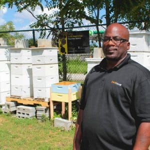 Man with bee hives
