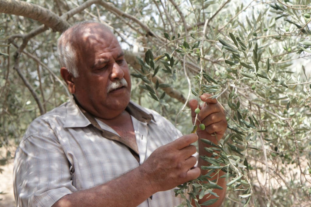 gourmet olive oil gifts Abu Al Abed creates gourmet olive oil gifts to support his family.