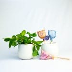Garden Love is one of our corporate plant gifts, including a planter and two seed lollipops.