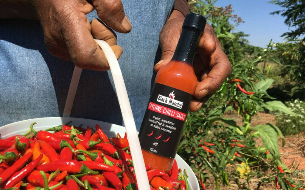 3) Chillies 3) Chillies